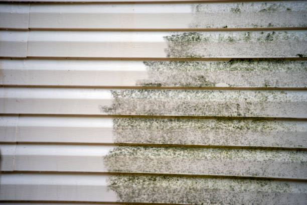 How To Choose The Right Materials for Your Siding Installation in 'Monarch Mill, SC